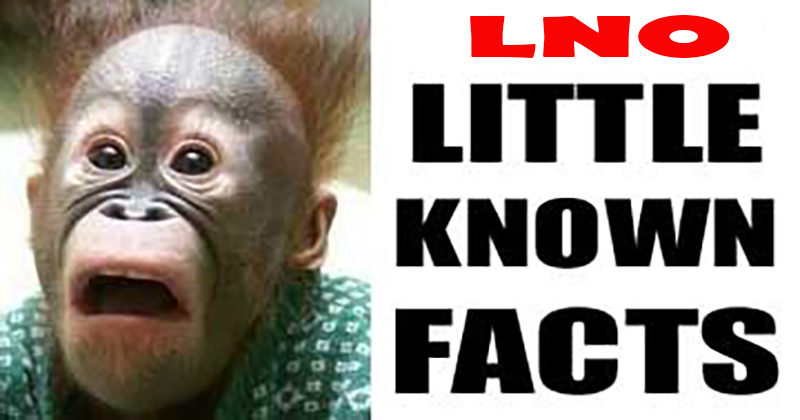 Little Known Facts from January 08, 2011