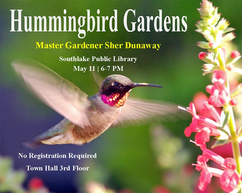 Humming Bird Gardens Southlake, Library May 11| 6-7 pm