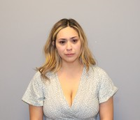 RECENT ARRESTS IN SOUTHLAKE