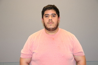 RECENT ARRESTS IN GRAPEVINE