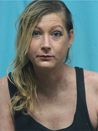 RECENT ARRESTS IN SOUTHLAKE