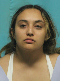 RECENT ARRESTS IN SOUTHLAKE