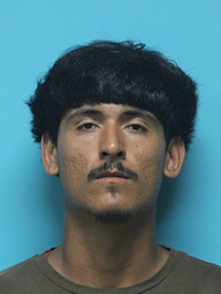 Grapevine Trash Day Changes for Some