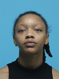 RECENT ARRESTS IN SOUTHLAKE