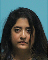 RECENT ARRESTS IN SOUTHLAKE