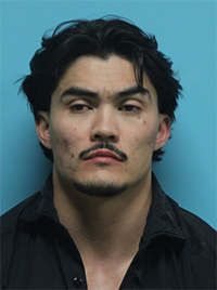 RECENT ARRESTS IN SOUTHLAKE