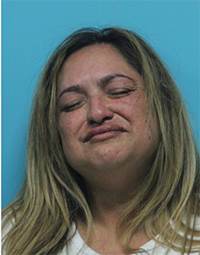 RECENT ARRESTS IN SOUTHLAKE