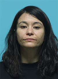 RECENT ARRESTS IN SOUTHLAKE