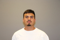 RECENT ARRESTS IN GRAPEVINE